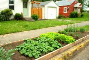 Los Angeles City Sidewalks are About to Become Overgrown with Edible Gardens