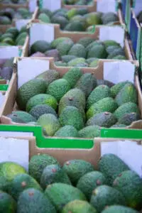 Are We Eating Too Many Avocados? Avocado Farmers Can't Keep Up