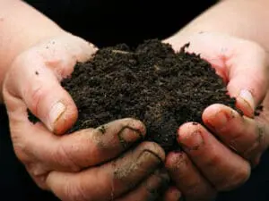 A Soil Microbe Turned New Antibiotic Could Save Us All