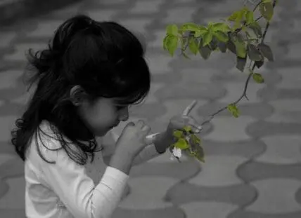 Child examining green plant leaves outdoors in black and white photograph