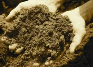 Handful of soil held in cupped hands over a pile of dirt