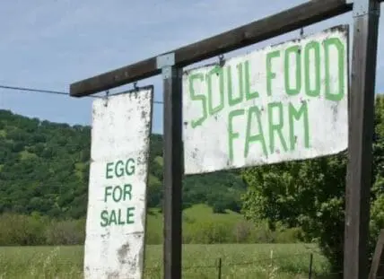 Soul Food Farm roadside sign advertising eggs for sale, with green hills in the background