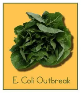 Fresh leafy lettuce against yellow background with "E. Coli Outbreak" label