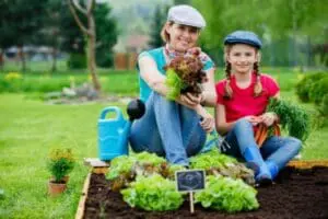 It's Not To Early to Start Planning a Sensational Spring Garden (and get some money to fund it too)