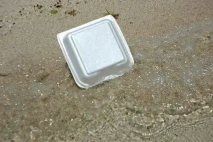 White styrofoam food container on ground