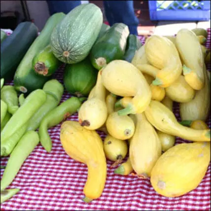 summer recipe ideas