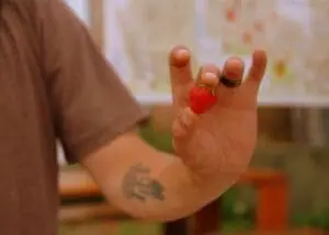 Child's hand holding a fresh red strawberry