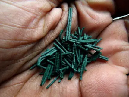 superfoods spirulina