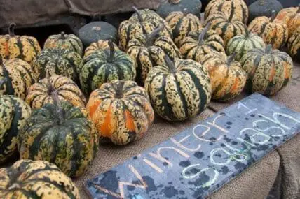 Striped winter squashes displayed at a farmers market with a price sign