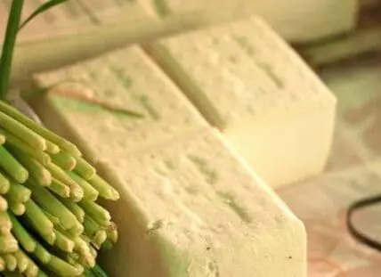 Blocks of white tofu with fresh green scallions
