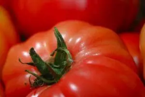 Close-up of a ripe red tomato with green stem on a pile of tomatoes