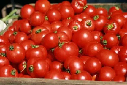 Fresh red tomatoes with green stems in a wooden crate