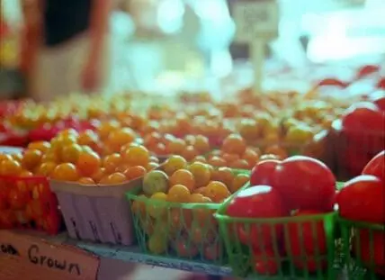 Colorful heirloom tomatoes and produce in cardboard containers at a farmers market