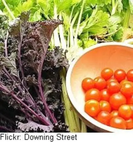 Fresh vegetables including dark leafy greens and ripe tomatoes in a bowl