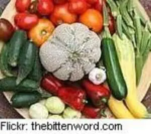 Assorted fresh organic vegetables including tomatoes, cucumbers, peppers, and leafy greens arranged