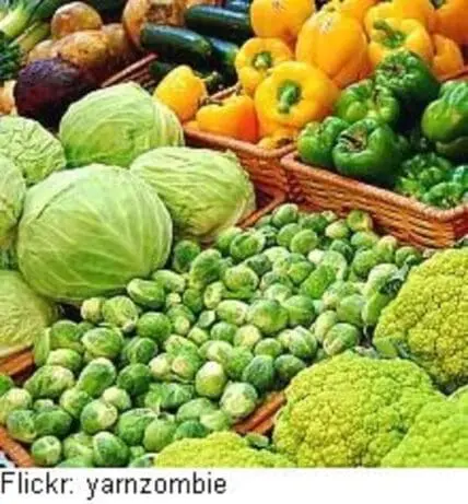Fresh organic produce including cabbage, Brussels sprouts, broccoli, peppers, and cucumbers at a