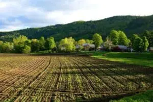 Agricultural field with crop rows and farmhouses nestled against forested hillside
