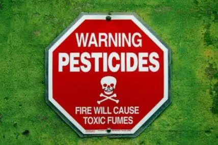 Red warning sign with skull and crossbones about pesticides and toxic fumes on green background