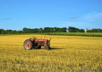 Vintage red tractor in a golden wheat field under blue sky