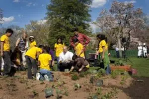 Volunteers in yellow shirts planting vegetables in a garden bed