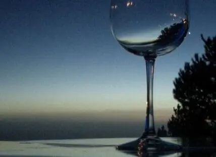 A wine glass positioned against a sunset ocean horizon with evergreen trees visible on the right