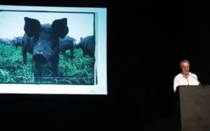 Speaker at podium presenting image of wild boar in field