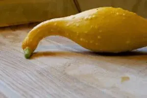 Yellow summer squash on a wooden cutting board