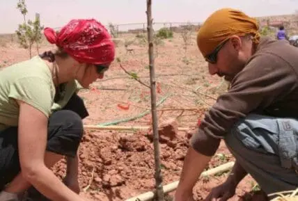 Two people planting a young tree in dry, rocky soil at an organic farm.