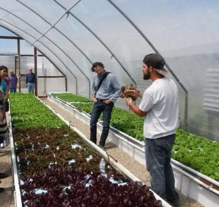 Maggie's Farm does sustainable agriculture right.