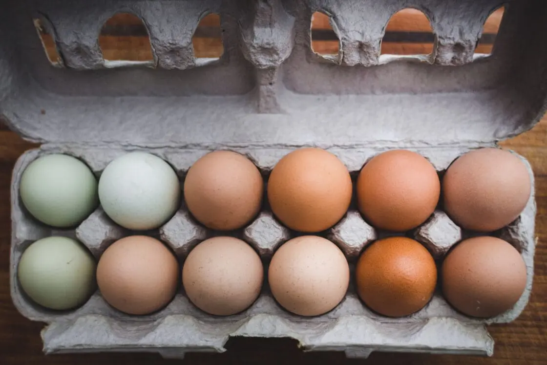 2 Critical Ways Americans Can Vote With Their Dollars to Change the Food System