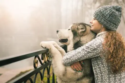 3 Holiday Survival Tips for Every Astrological Sign
