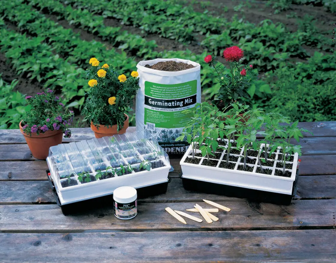 Preparing a garden bed for spring planting