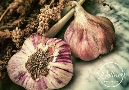 5 Prebiotic-Rich Foods To Eat For a Healthy Gut (And Why You Need Them!)