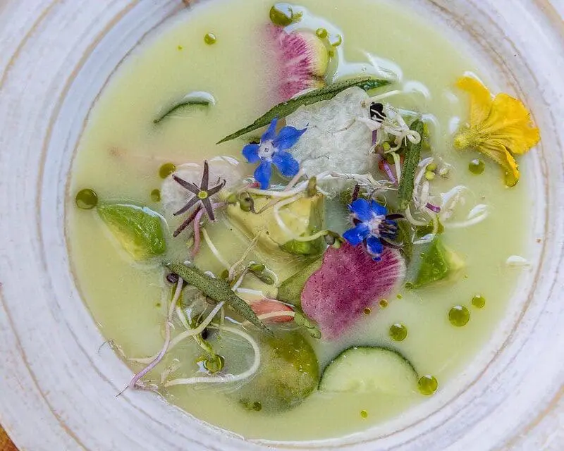 a botanical feast at a luxury hotel. Plant based menu supports your luxury wellness retreat at this hotel.