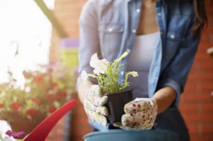7 Pretty Garden Accessories