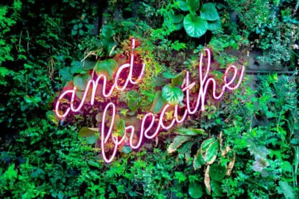Wellness healthcare boils down to the 100 everyday choices
