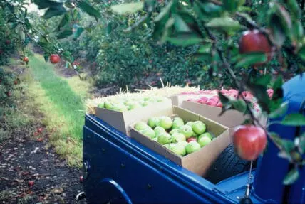 Progressive Food Waste Bill Headed to Congress