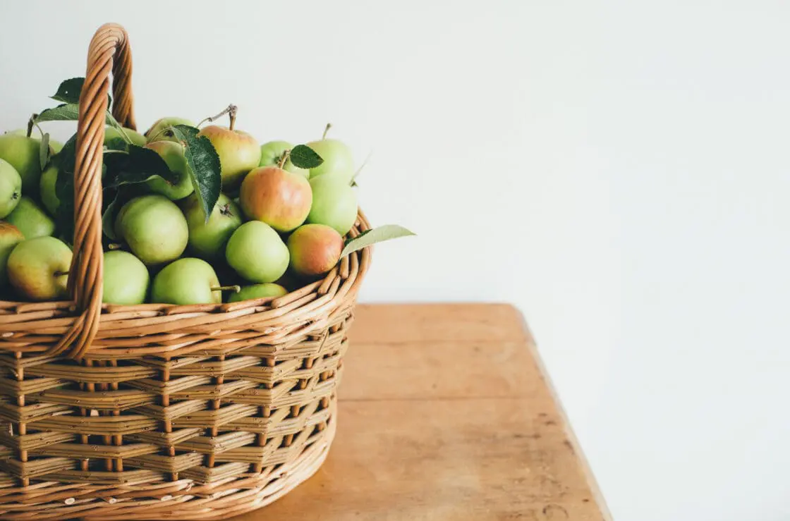 image via Annie Spratt/Unsplash