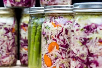 The fermentation bible.