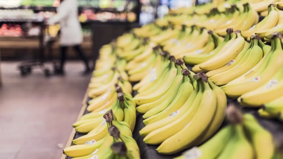 Healthy Eating Habits Created Through Government Assistance Program