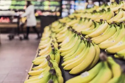 Healthy Eating Habits Created Through Government Assistance Program
