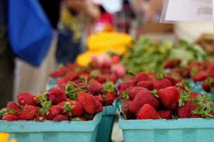 Eating Organic Food Lowers Pesticide Exposure