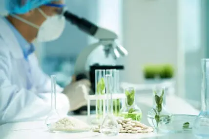 gmo regulation