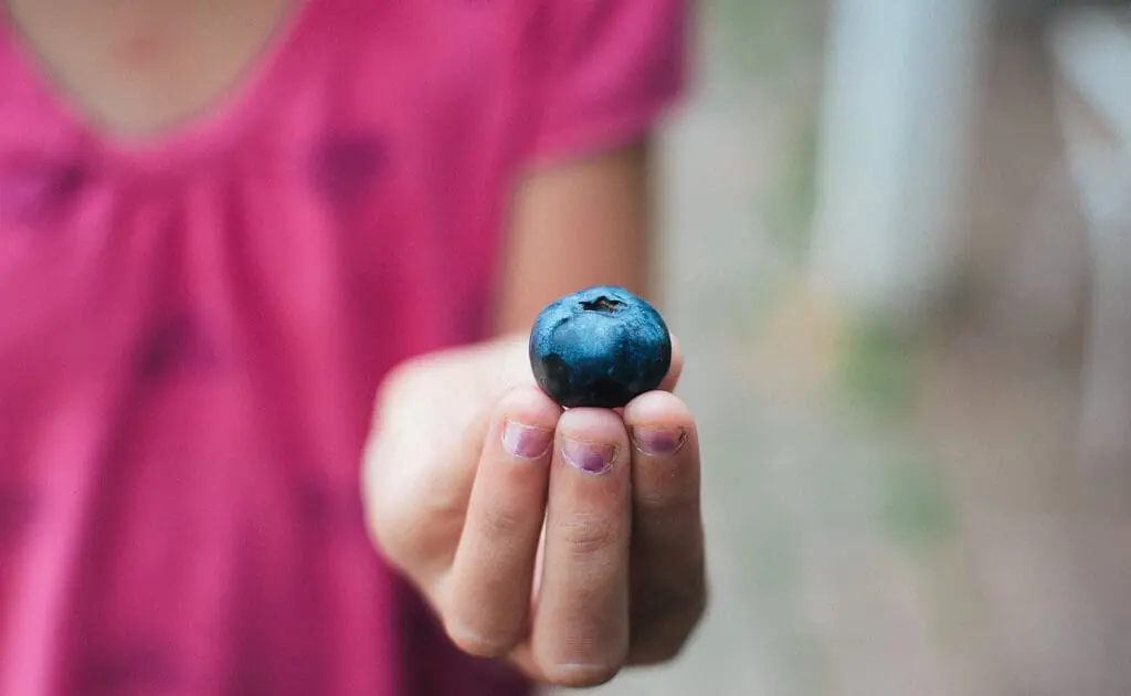 blueberry