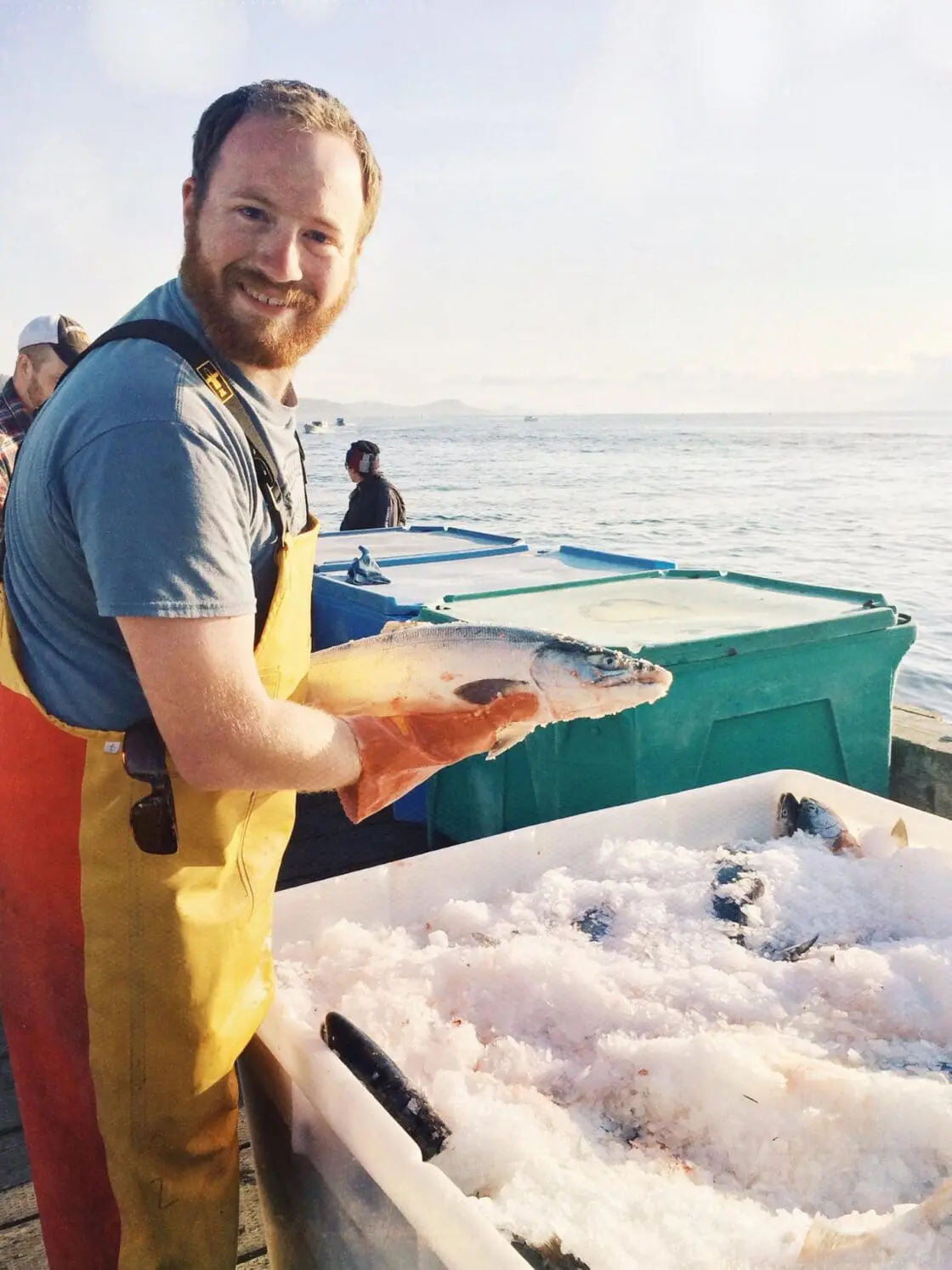 Buy Local Food... Online? All About Barn2Door: An Air BnB for Sustainable Food