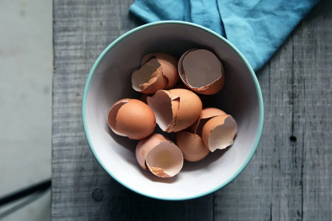 Eggshells in a blue bowl, eggshells are used to make vegetarian-friendly collagen powder supplements.