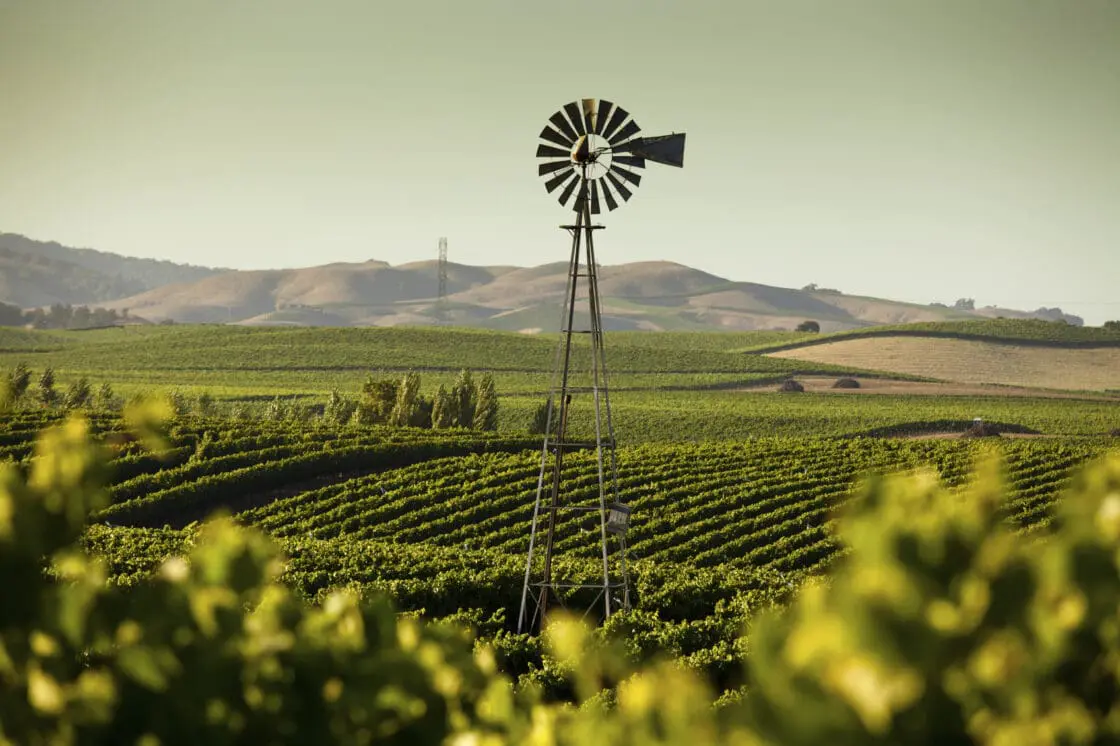 gmo crops prohibited in sonoma county