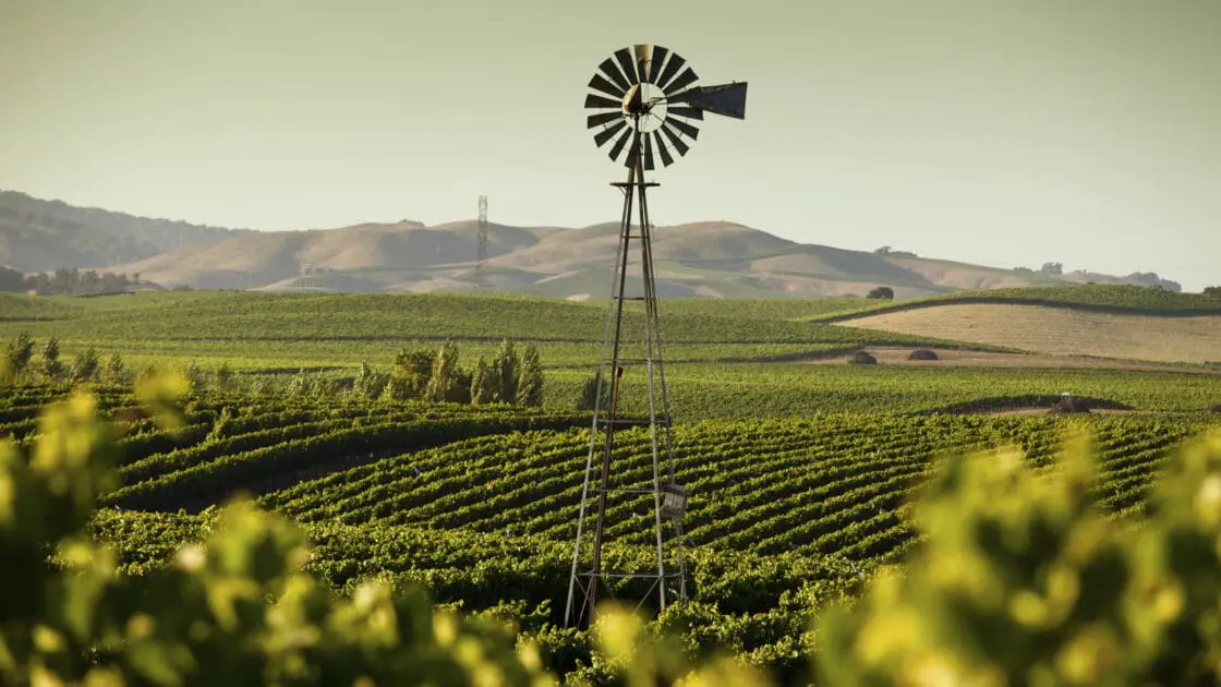 gmo crops prohibited in sonoma county