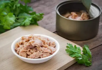 canned tuna