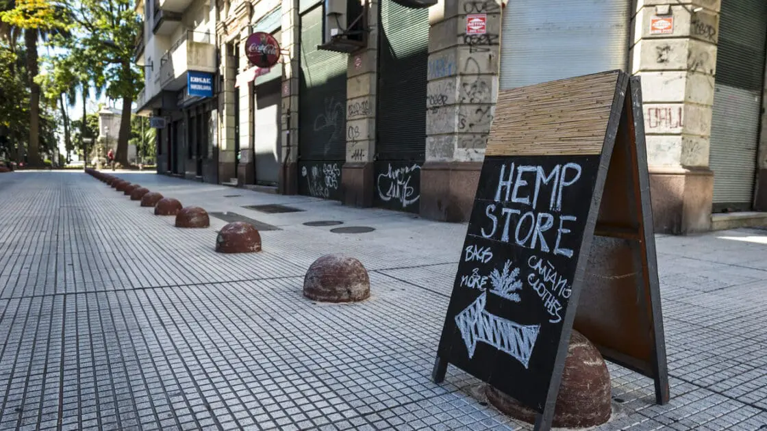 NSF Brings Needed Oversight to the CBD Industr